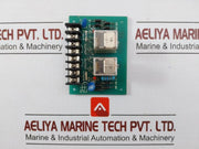 Module Board 2pfm Relay Output: 24v 110v