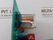 Module Board 2pfm Relay Output: 24v 110v