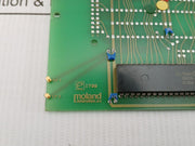Moland 03160 P2