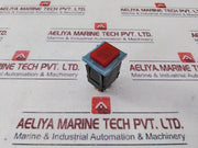 Molex 1175 Pushbutton Neut-lite