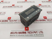 Multispan Pi 31 Indicator/Controller 230Vac
