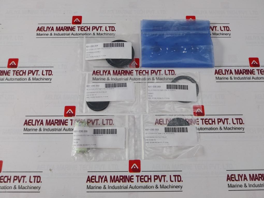 Nakakita Seisakusho 4519-4 Temperature Control Valve & Diaphragm Gasket Kit