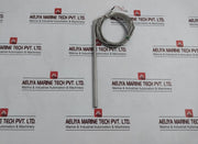 Nakra 2Xpt100/B/2 Temperature Sensor -50/200°C D-9.5Mm 3 Meter