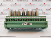 Nandi Powertronics Narm-81I General Purpose Relay Module 24V Dc