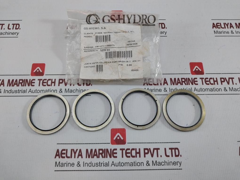 New Condition Ss Bonded Seal By Gs-Hydro 3219