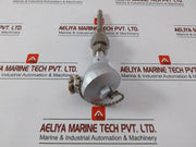 New Daeyoung Pt100Ω Temperature Sensor In 600 Gm