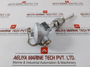 New Daeyoung Pt100Ω Temperature Sensor In 600 Gm