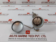 New Daeyoung Pt100Ω Temperature Sensor In 600 Gm