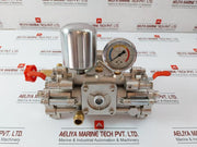 New Power Sprayer With Gauge 0-140 Bar 0-14 Mpa In High Pressure Portable