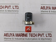 Nippon Chemi-con Electrolytic Capacitor Sm Cew 100V 1000µF 85°C 53T 308