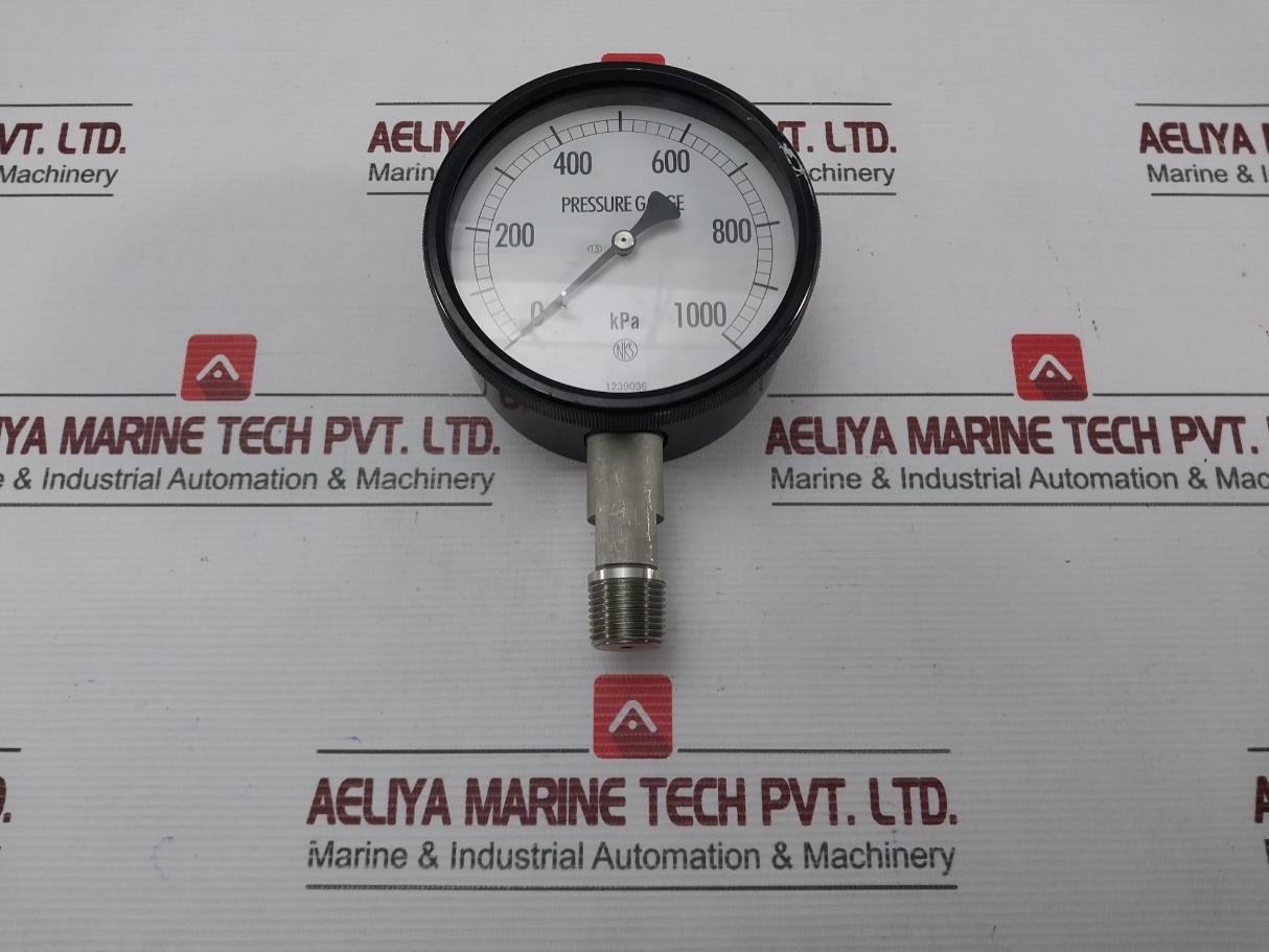 0-1000 Kpa Pressure Gauge Nks