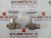 Nks Flanged Gate Valve Stainless Steel Threaded, 20Mpa Ss304