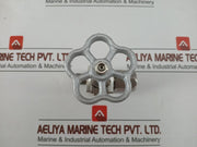 Nks Flanged Gate Valve Stainless Steel Threaded, 20Mpa Ss304