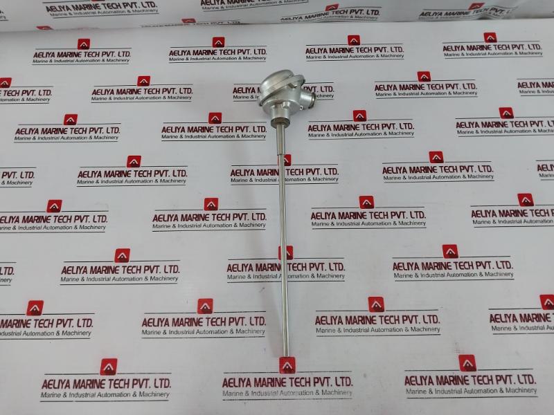 Ntw 2Tp43-3-250 Temperature Sensor 2X Pt100 2-wire