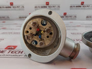 Ntw 2Tp43-3-250 Temperature Sensor 2X Pt100 2-wire