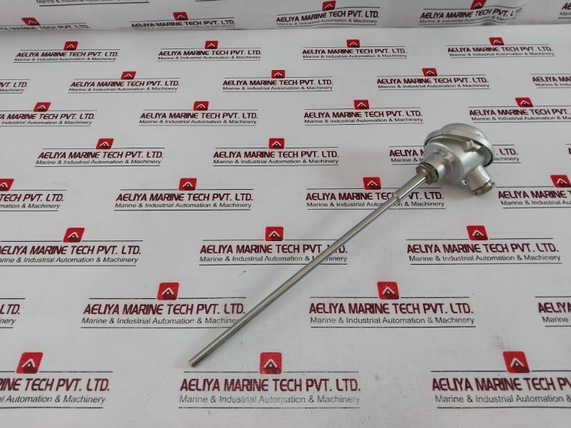 Ntw 2Tp43-3-250 Temperature Sensor 2X Pt100 2-wire