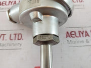 Ntw 2Tp43-3-250 Temperature Sensor 2X Pt100 2-wire
