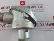 Ntw 2Tp43-3-250 Temperature Sensor 2X Pt100 2-wire