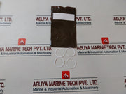 Oceaneering 100113-wh156 Regulator Hydraulic Pilot Repair Kit 100809