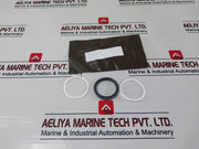 Oceaneering 100813-sk-90 Repair Valve Set