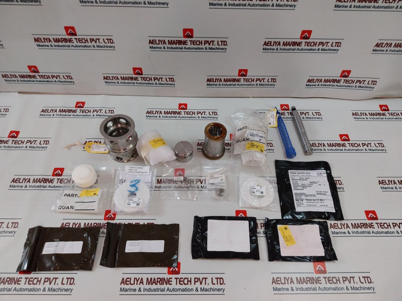 Wsi 100819Rk Valve Repair Kit
