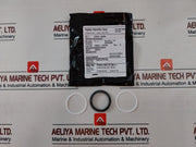 Wsi 100819Rk Valve Repair Kit
