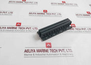 Pa66-gf25Fr(17) Double Rail Module Unit 6,352,450