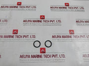 Pack of 5X Schlumberger B013335 Oil Channel O-Ring Rev AH