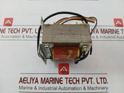 Palmieri Robin S 30 2
