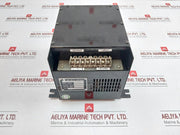 Pan Delta Invertor-100