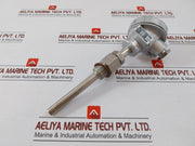 Part No. 100Ω S Type Resistance Temperature Detector Daeyoung - 720 Gm