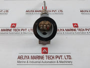 Pascal Pt 100 Ohm