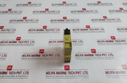 Pilz S1En Monitoring Unit Safety Relay 24-240Vac/Dc 884100128165 50-60Hz A054294