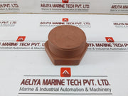 Plug 3Npt Sch 160 Plumbing Supply Red Thread Male Plug