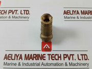 Pn 30 Dn 10 Brass Y-strainer