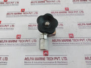 Pn400 Dn4 1.4571 Pressure Gauge Valve A4-70