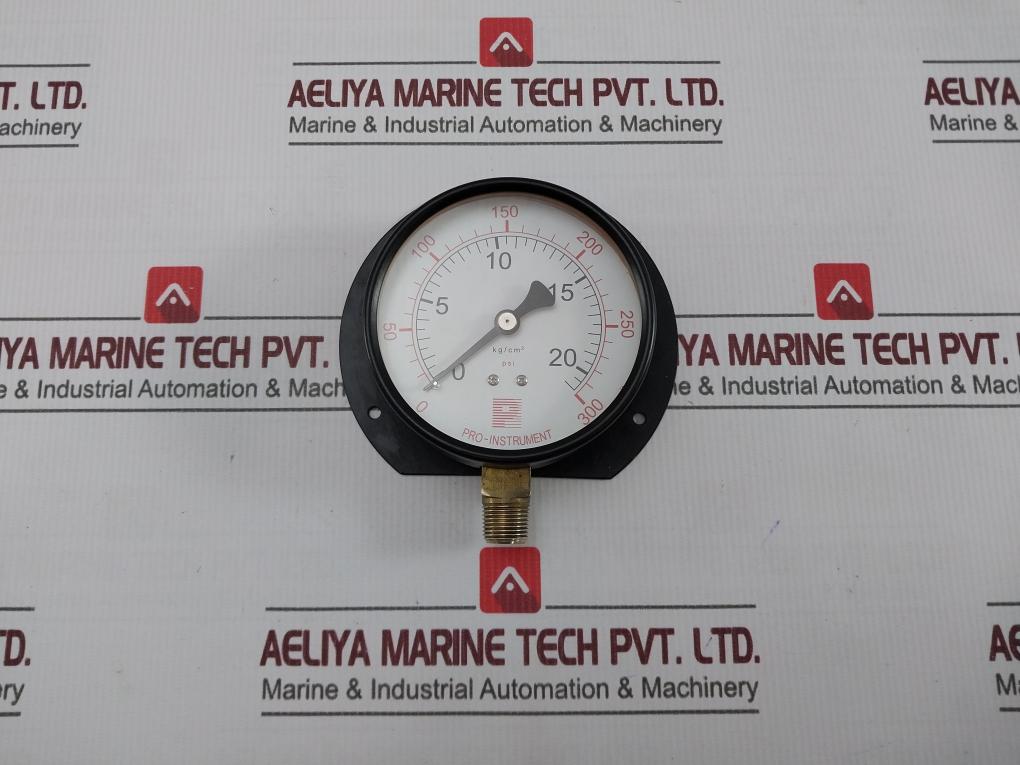 Pro-Instrument 0-20 Kg/Cm2 Pressure Gauge 0-300 Psi