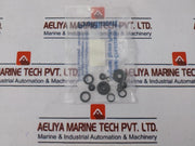 Prominent 1001724 Spares Kit For Use With Solenoid Diaphragm Dosing Pump