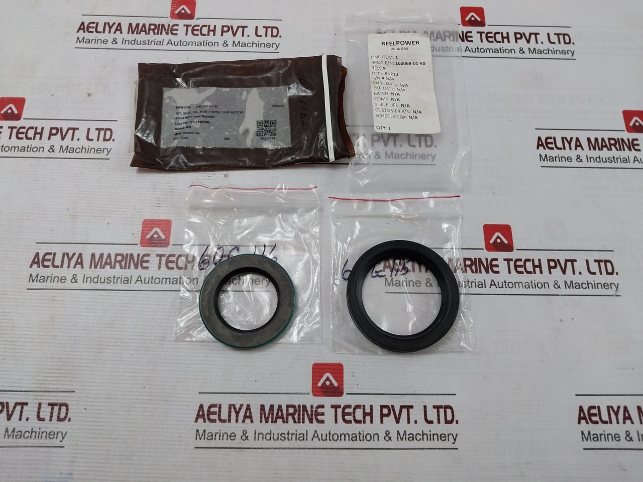 Radoil 160068-01-50 Oil Seal Kit For 71Rpm 15Hp Motor Rev A