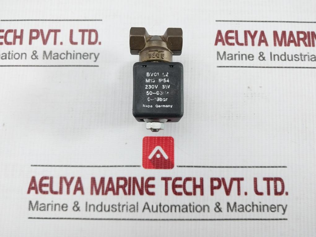Rapa Bv01 L2