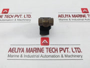 Rapa Bv01 L2