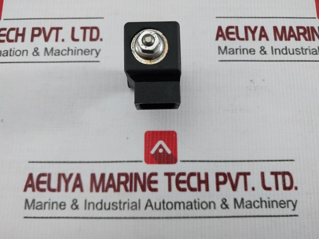 Rapa Bv01 L2