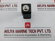 Rapa Bv01 L2