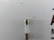 Lot of 10X Reliance Fuse 250V