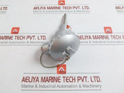 Resistance Temperature Detector By Shanghai Automation Wzp-138