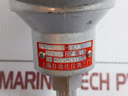 Resistance Temperature Detector By Shanghai Automation Wzp-138