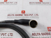 Rexroth 0 608 740 103 Screw & Press-fit Cable Assembly 2-meter S-010-s-a