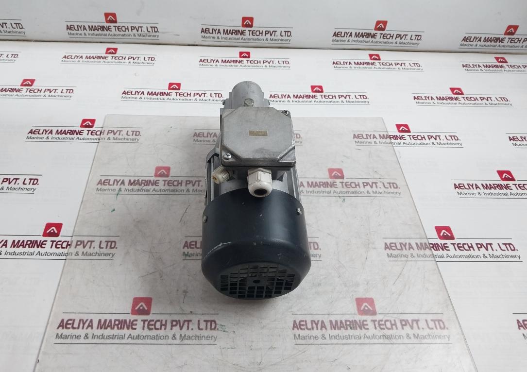 Rexroth 3 842 532 421 Three Phase Thermal Protection Motor 230/400V Ip55 0,25Kw