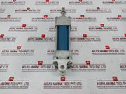 Rexroth 521 195 500 0 Pneumatic Cylinder Max 10 Bar