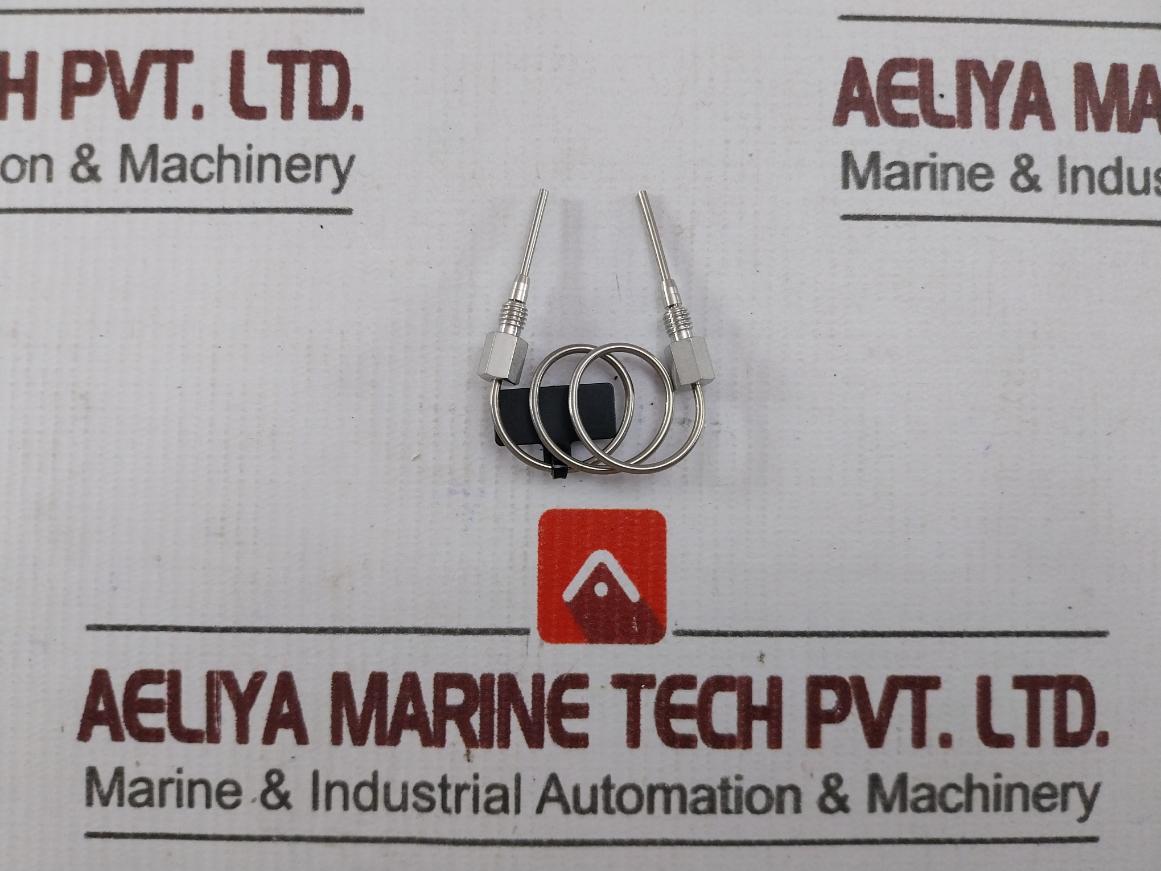 Rheodyne Wat096225 Sample Loop 50µL.